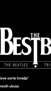 The Bestbeat